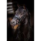 HB Brida Showtime Evalira Azul/Negro