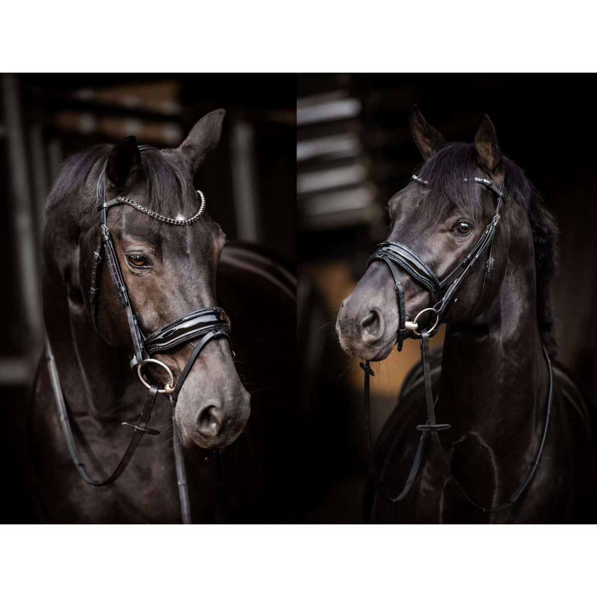 HB Brida Showtime Evalira Negro