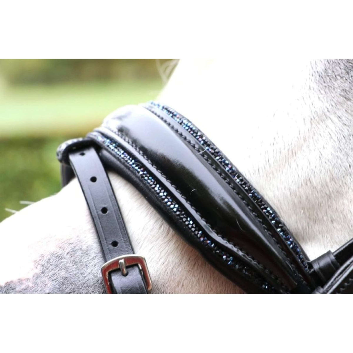 HB Ruitersport Brida Special Negro azul