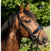 HB Brida Showtime Sweet Dreams Negro/Borgoña