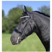 HB Ruitersport Conjunto de capota Dream For Ever Negro