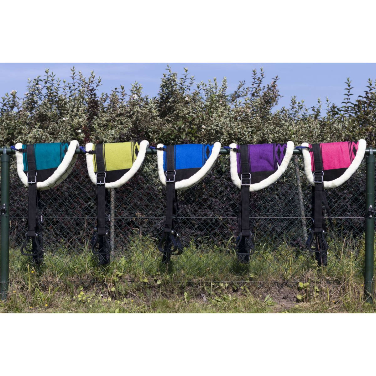 HB Ruitersport Camino a pelo Little Sizes Fuchsia