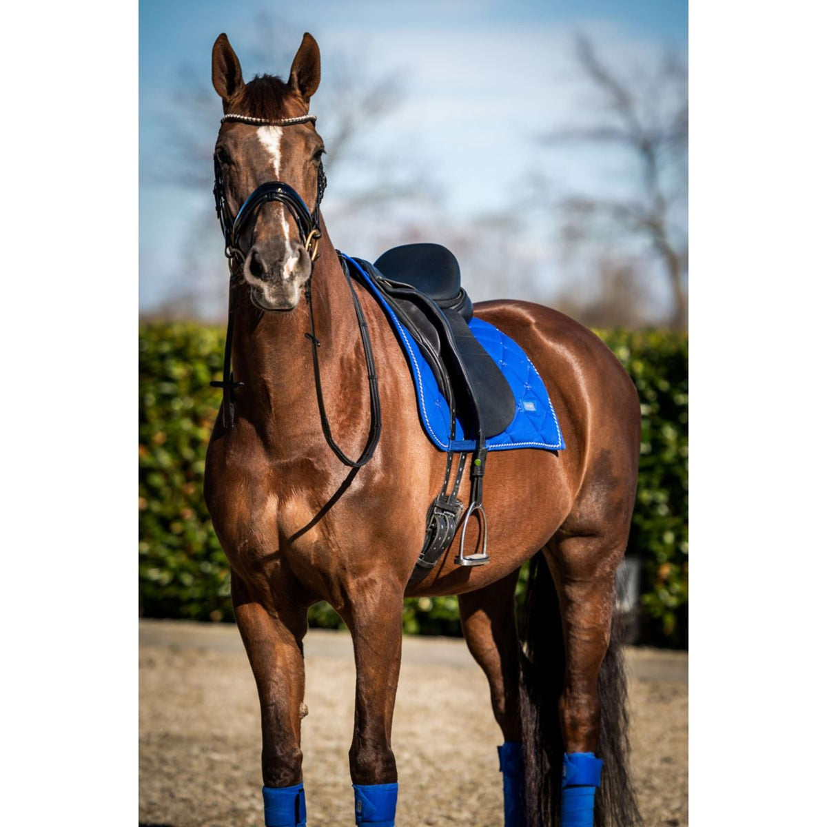 HB Ruitersport Mantilla Crown Doma Azul Real