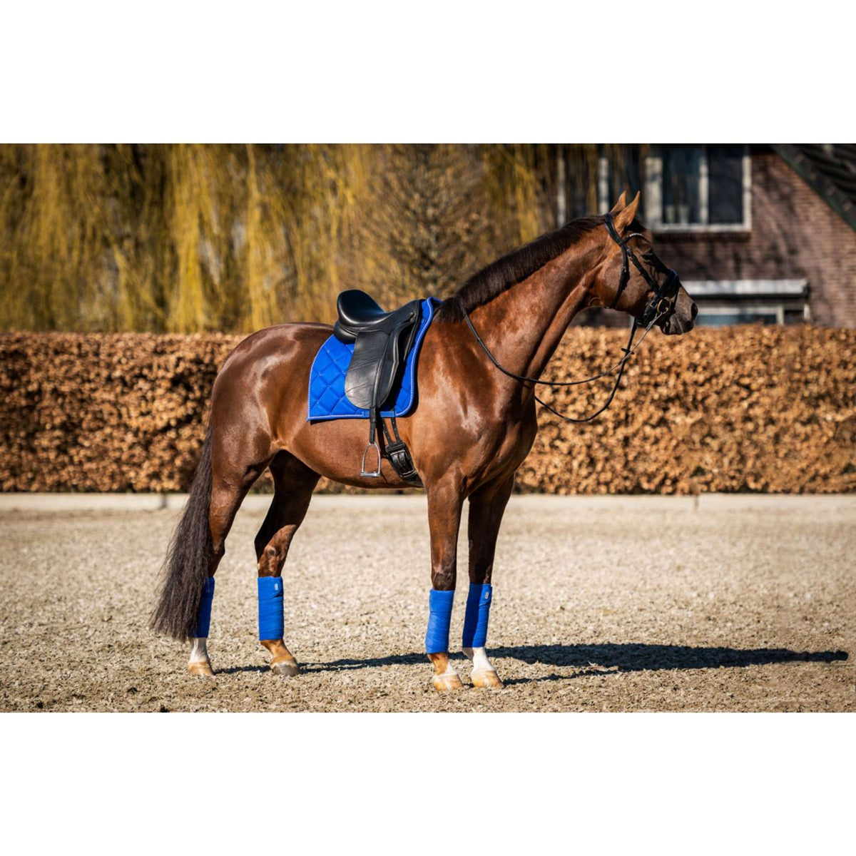 HB Ruitersport Mantilla Crown Doma Azul Real