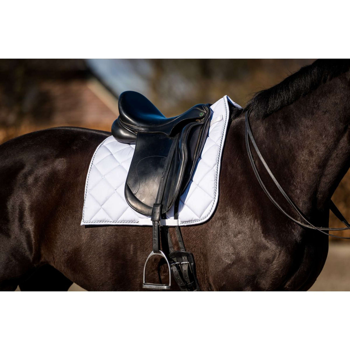 HB Ruitersport Mantilla Crown Doma Blanco