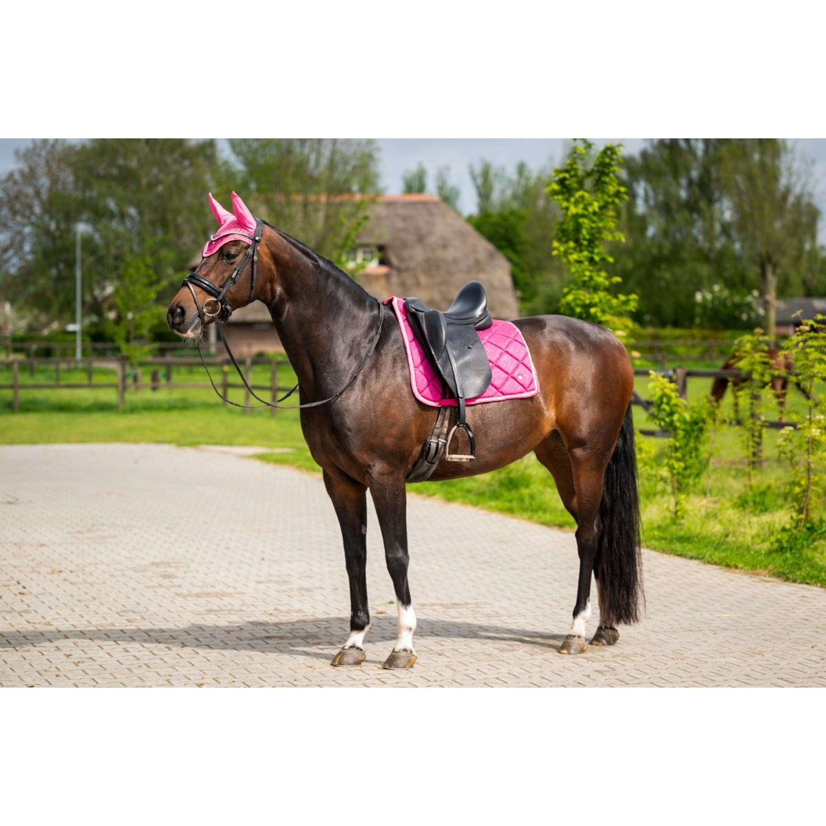 HB Ruitersport Mantilla de Doma Showtime Fucsia