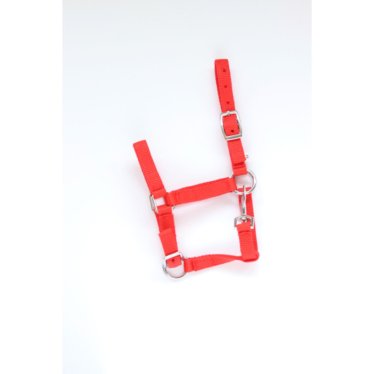 HB Cabestro para Potro Astrid Rojo