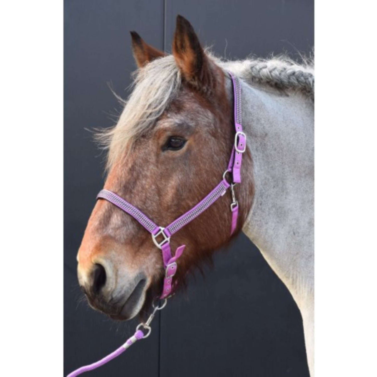 HB Cabezada Diamonds Collection Lila