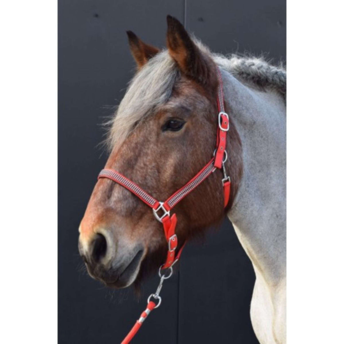 HB Cabezada Diamonds Collection Rojo