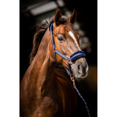 HB Cabezada Europa Rose Navy