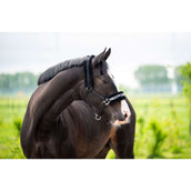 HB Ruitersport Cabezada Zebra Negro/Blanco