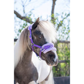 HB Cabezada Nylon Cavesón Morado