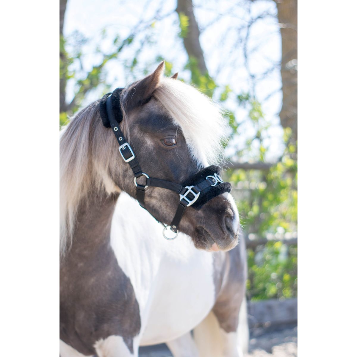 HB Cabezada Nylon Cavesón Negro