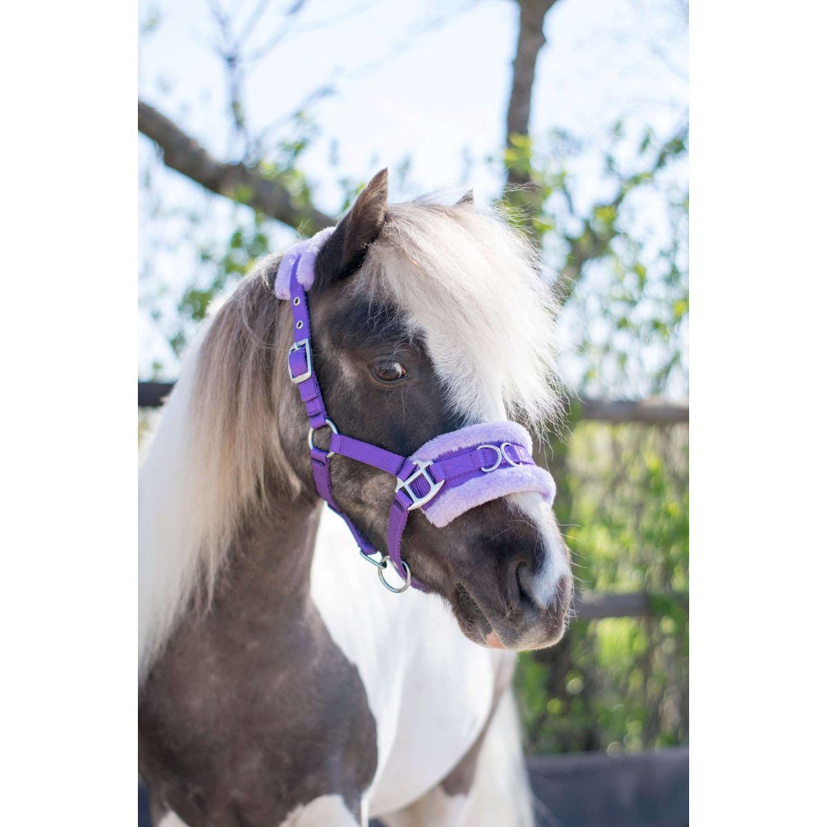 HB Cabezada Nylon Cavesón Morado