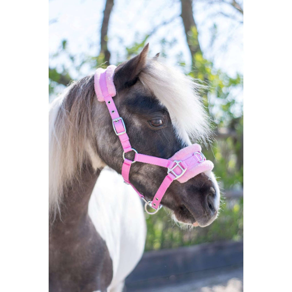 HB Cabestro Nylon Cavezón Rosa