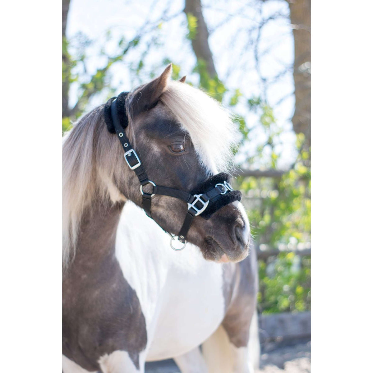 HB Cabezada Nylon Cavesón Negro