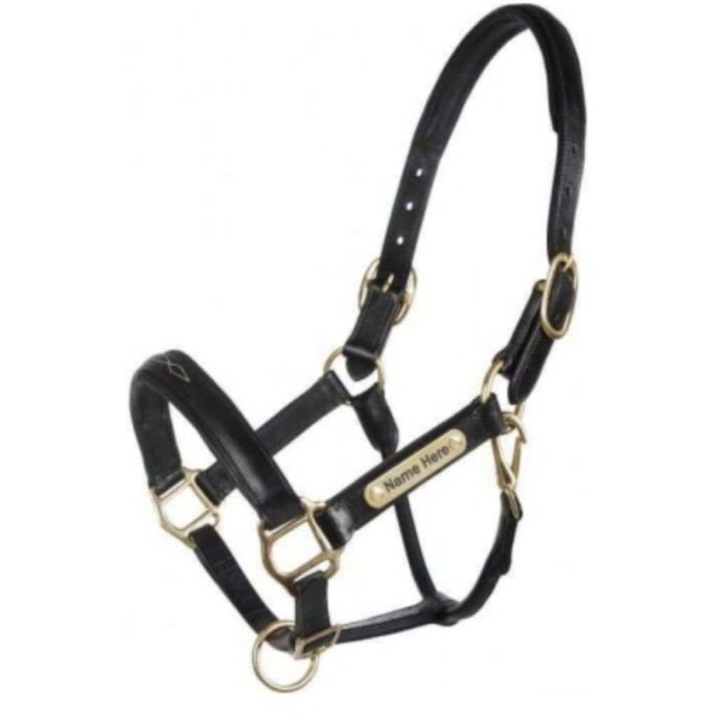 HB Cabestro Horse Name Cuero Negro