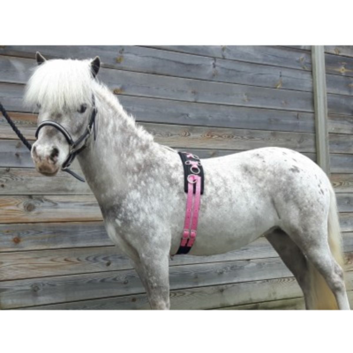 HB Cincha de Trabajo Little Sizes Rosa