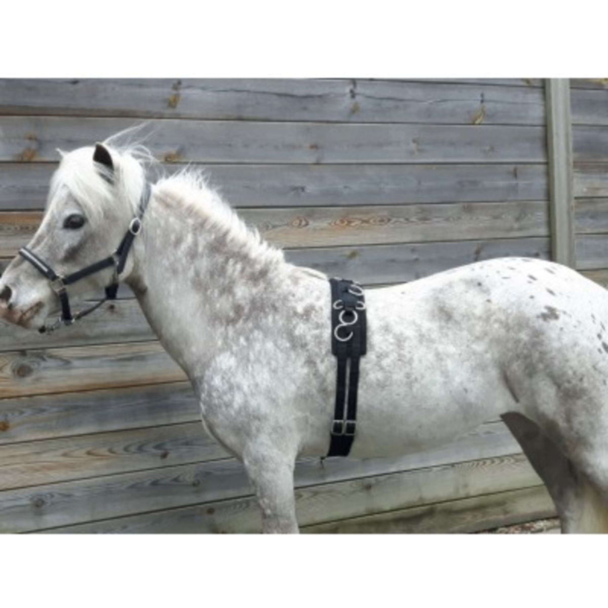 HB Cincha de Trabajo Little Sizes Negro