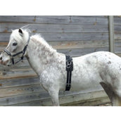 HB Cincha de Trabajo Little Sizes Negro