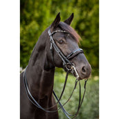 HB Ruitersport Brida Doble Special for You Negro/Borgoña