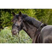 HB Ruitersport Brida Doble Special for You Negro/Borgoña