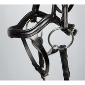 Harry's Horse Brida Anatomic Negro