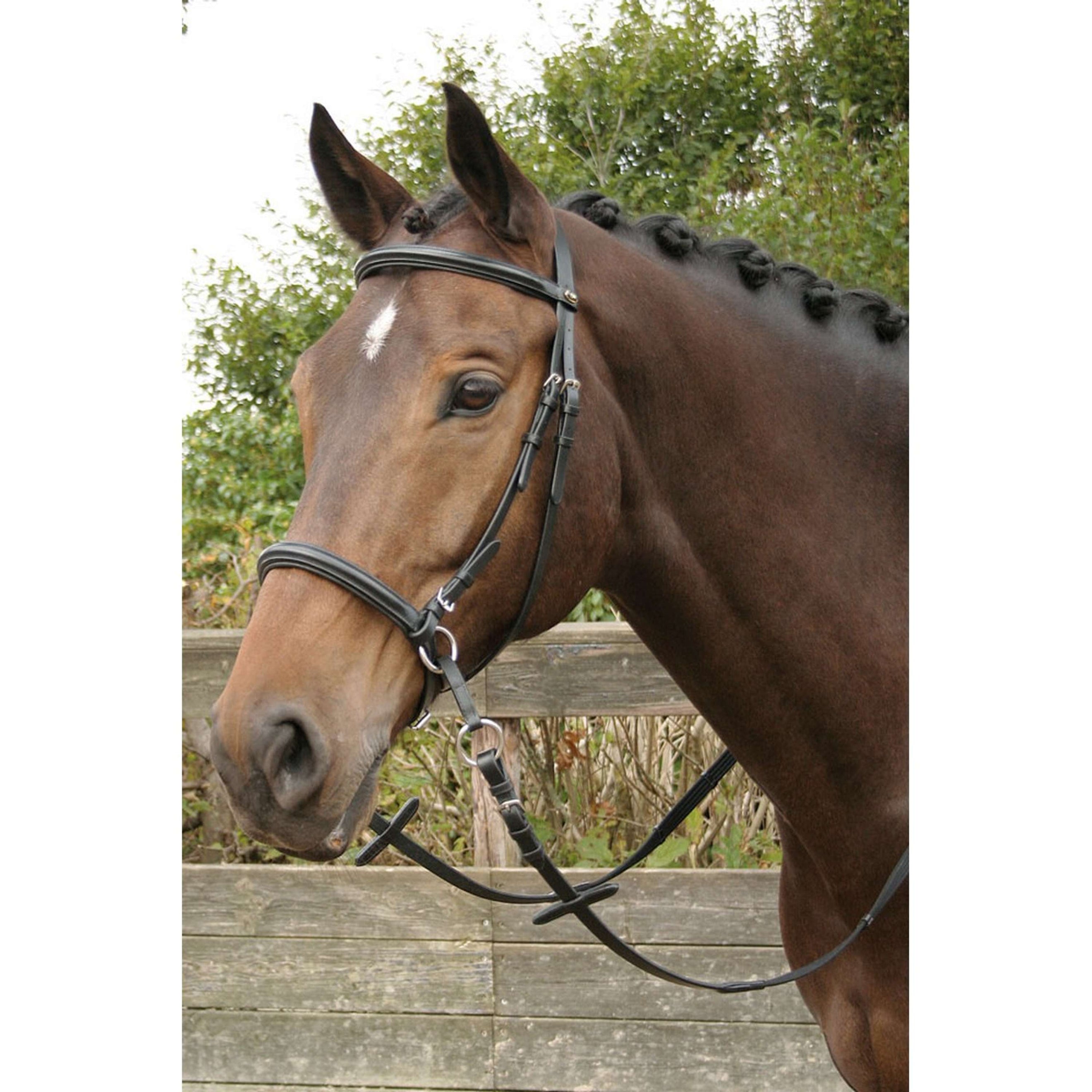Harry's Horse Brida sin Bocado Negro Harry's Horse Brida sin Bocado Negro