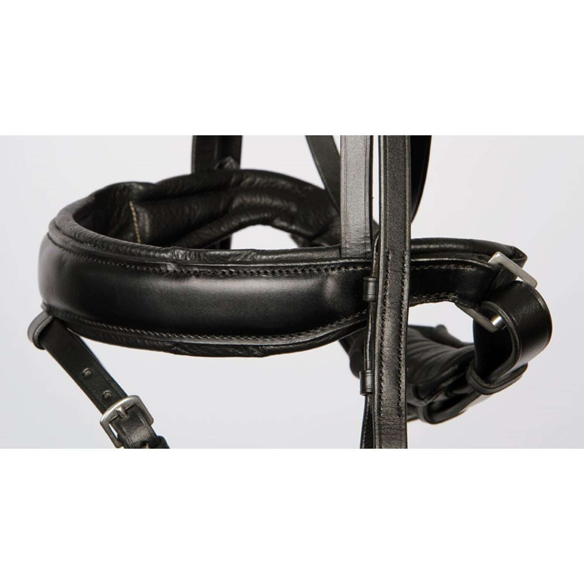 Harry's Horse Brida Negro
