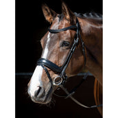 Harry's Horse Brida Negro