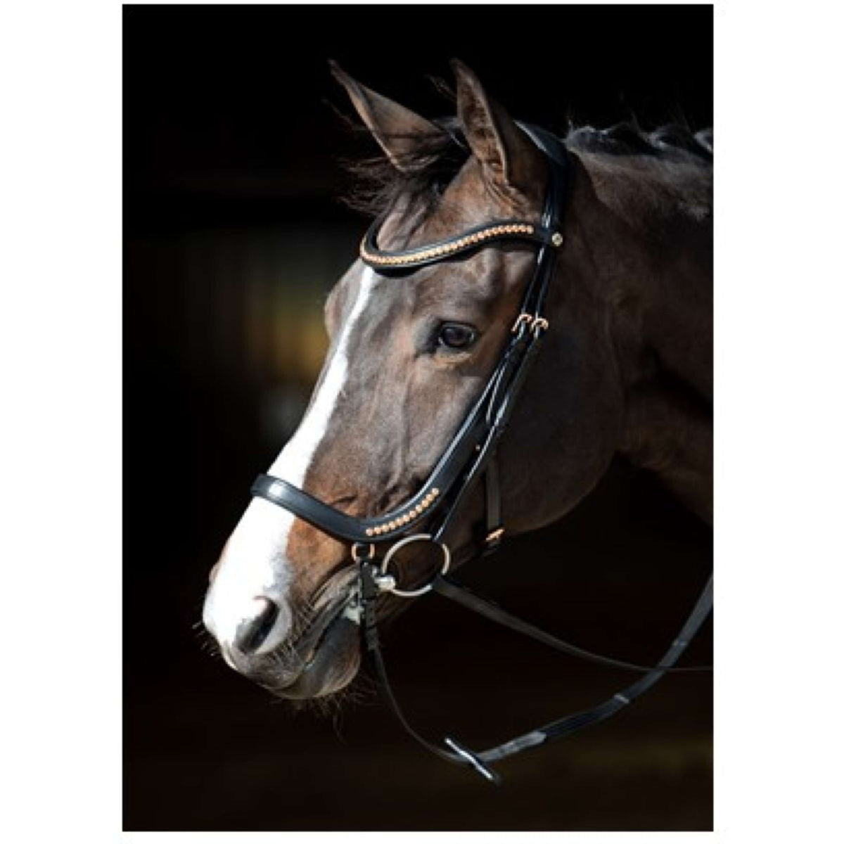 Harry's Horse Brida Anatomisch Negro