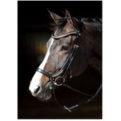 Harry's Horse Brida Anatomisch Negro