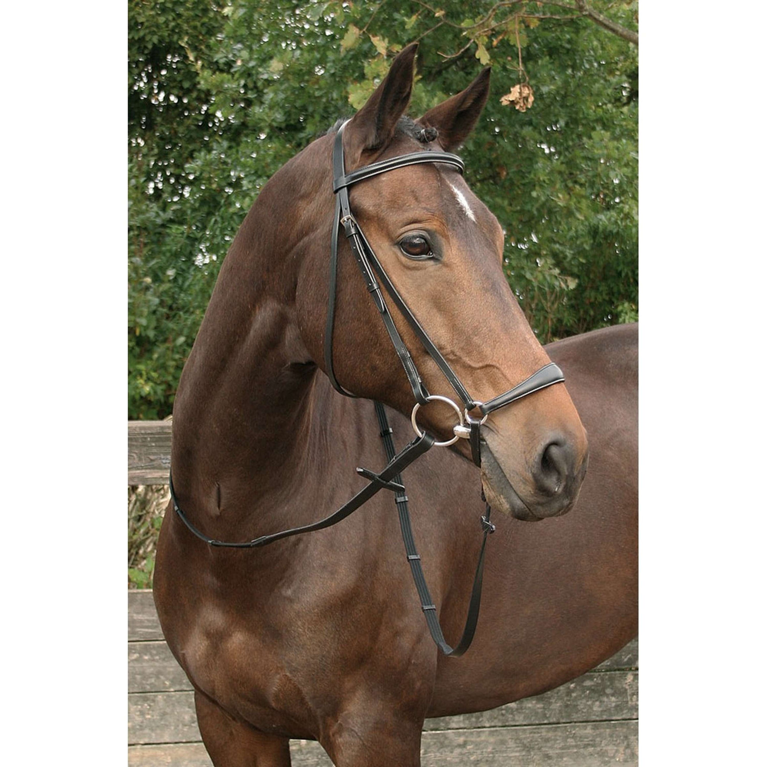 Harry's Horse Brida Banda Nasal Baja Negro
