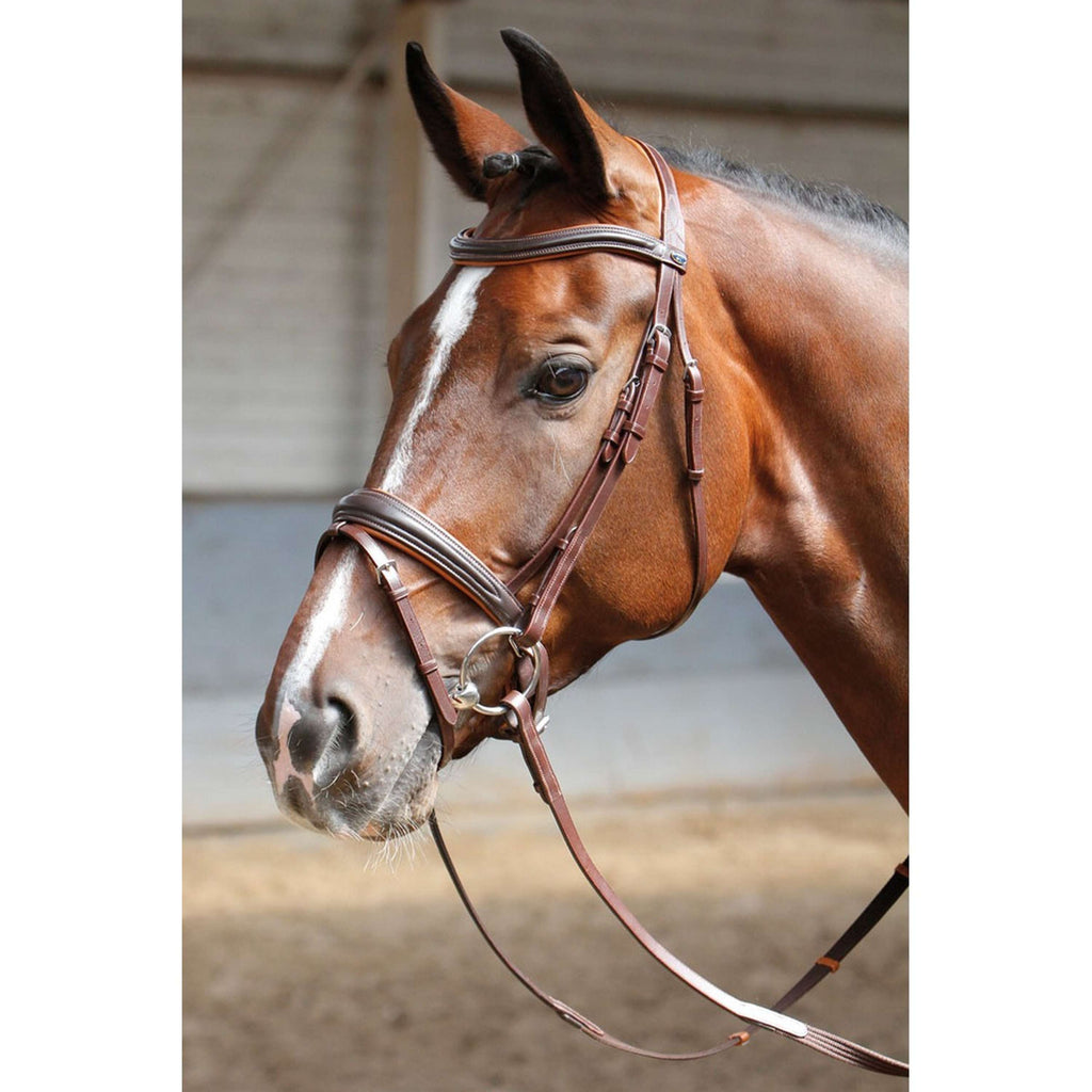 Harry's Horse Brida Soft Marron