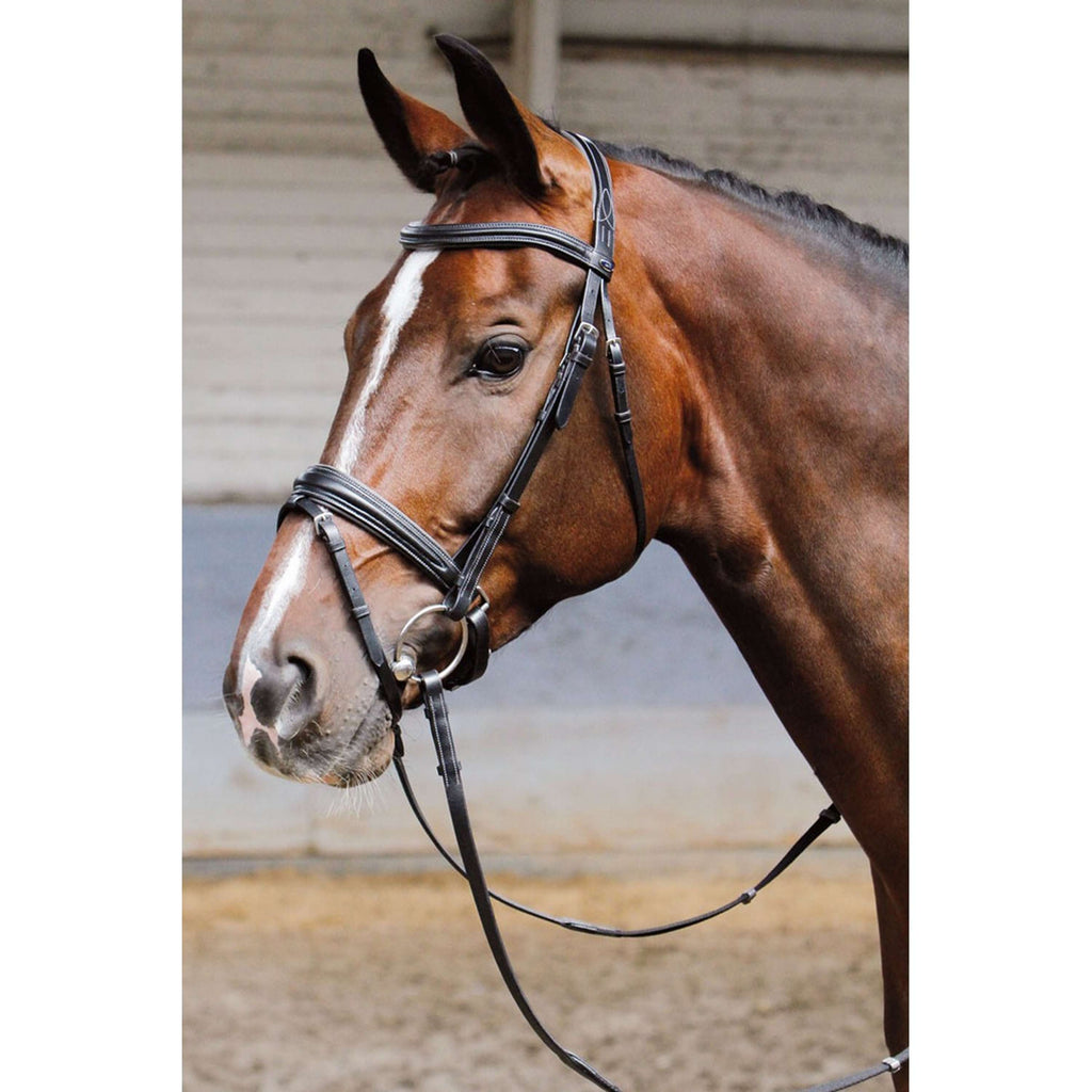 Harry's Horse Brida Soft Negro