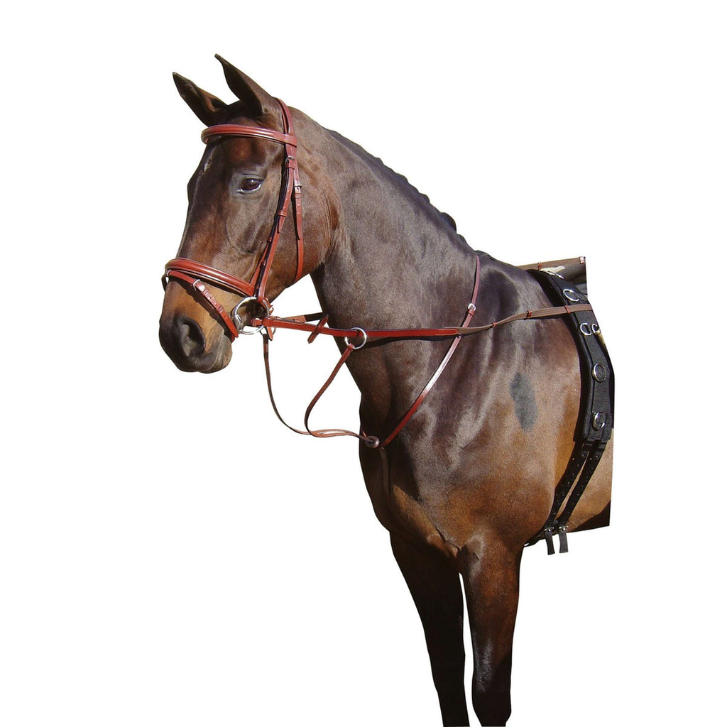 Harry's Horse Martingala Marron