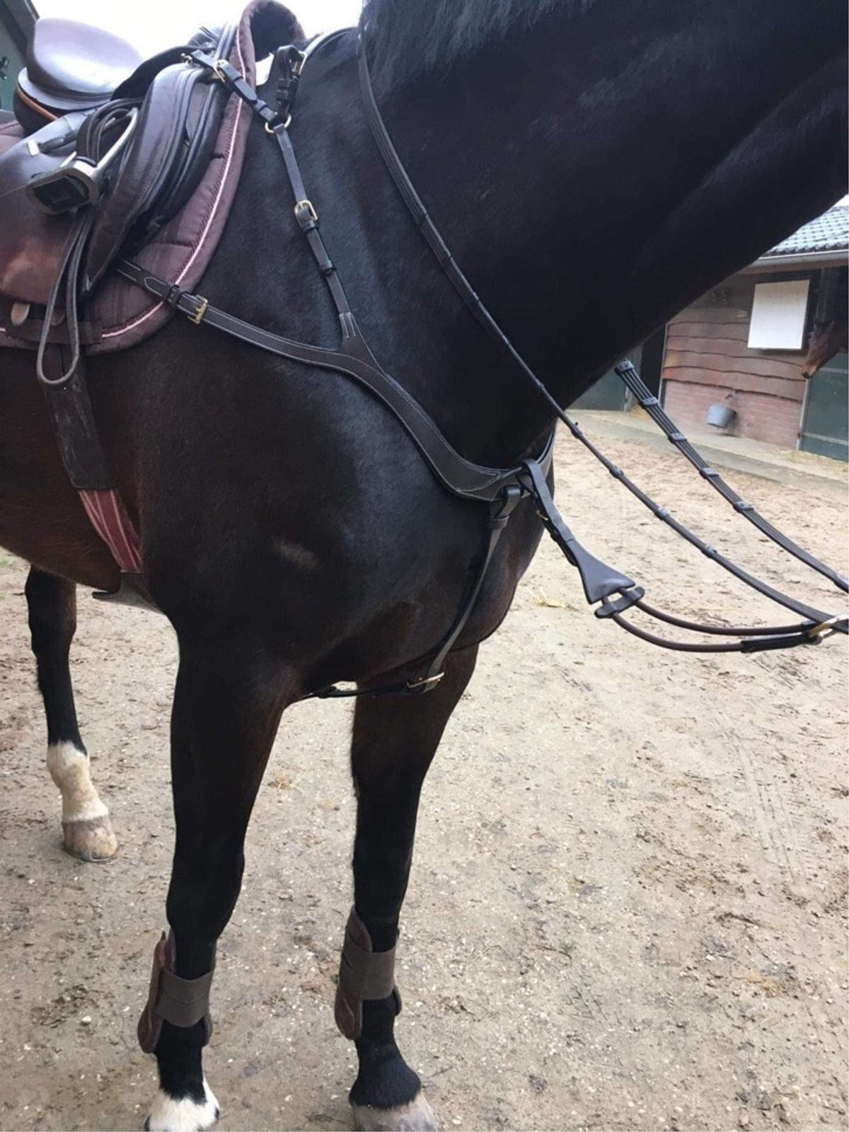 Harry's Horse Arnés Frontal Deluxe Marron