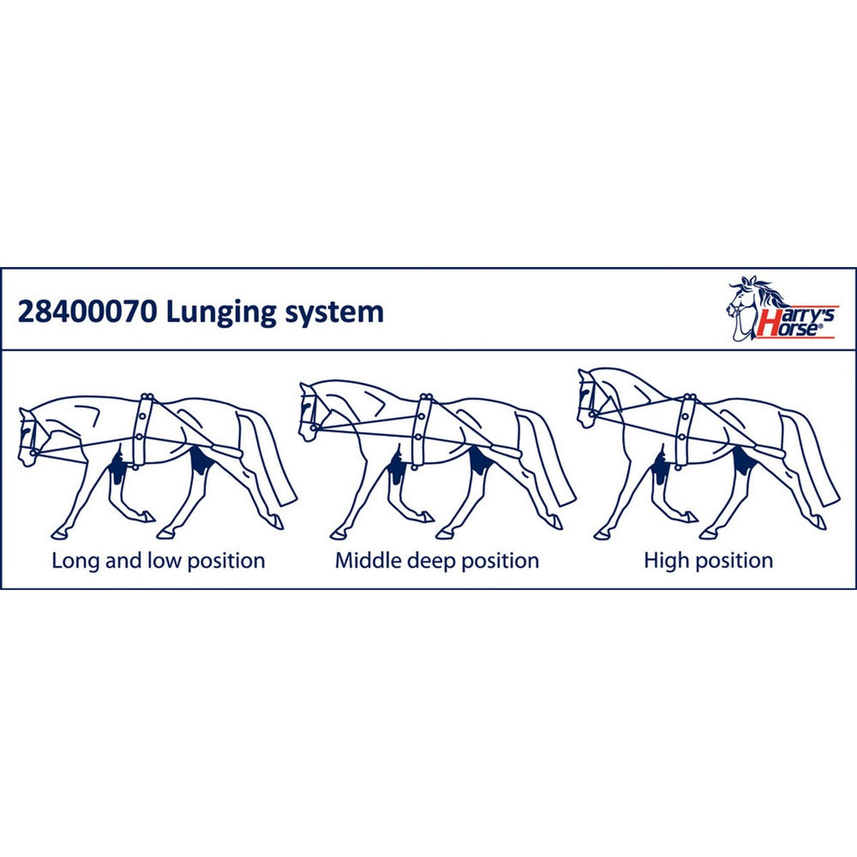 Harry's Horse Riendas de Línea para Longeo