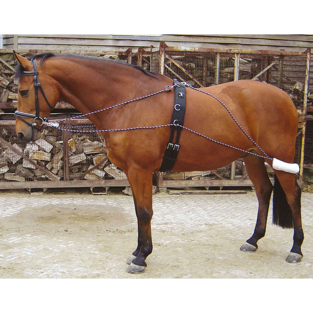 Harry's Horse Riendas de Línea para Longeo