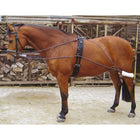 Harry's Horse Riendas de Línea para Longeo