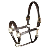 Harry's Horse Cabezada Padded Leder Marron