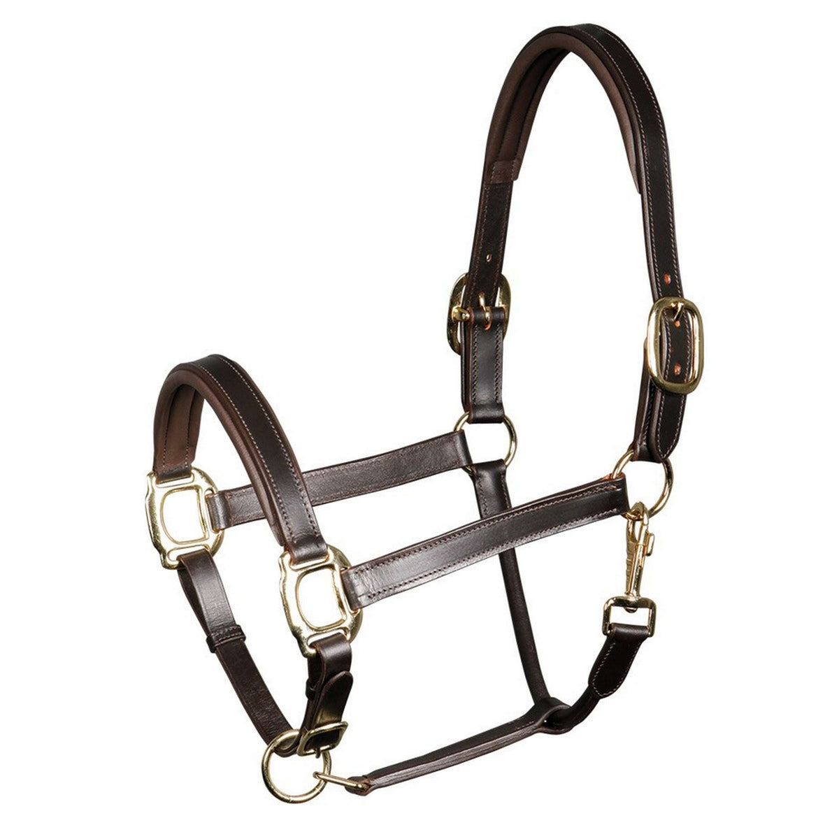 Harry's Horse Cabezada Padded Leder Marron