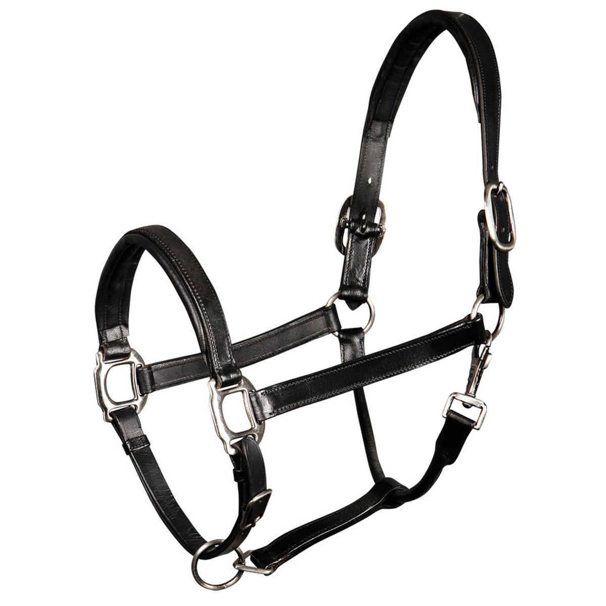 Harry's Horse Cabezada Padded Leder Negro