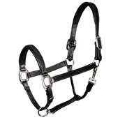 Harry's Horse Cabezada Padded Leder Negro