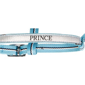 Harry's Horse Juego de Cabestro Foal Azul claro