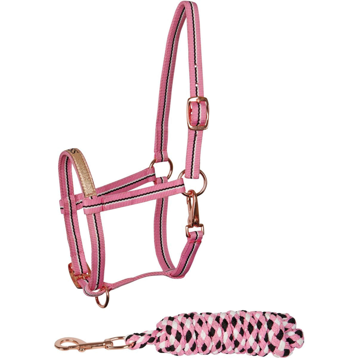 Harry's Horse Juego de Cabestro Foal Rosa