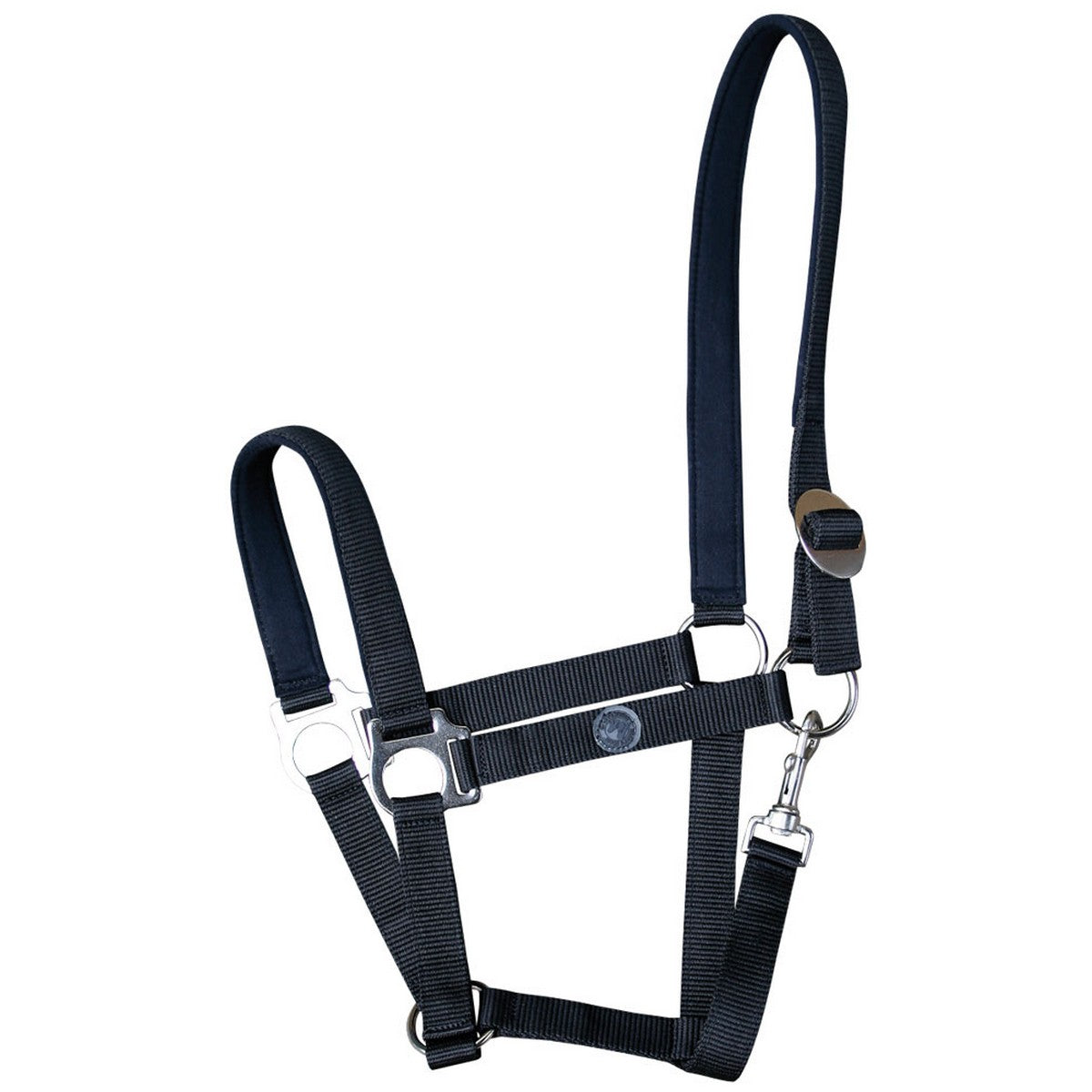 Harry's Horse Cabezada Padded Negro