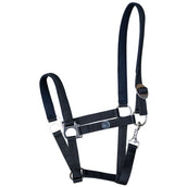 Harry's Horse Cabezada Padded Negro