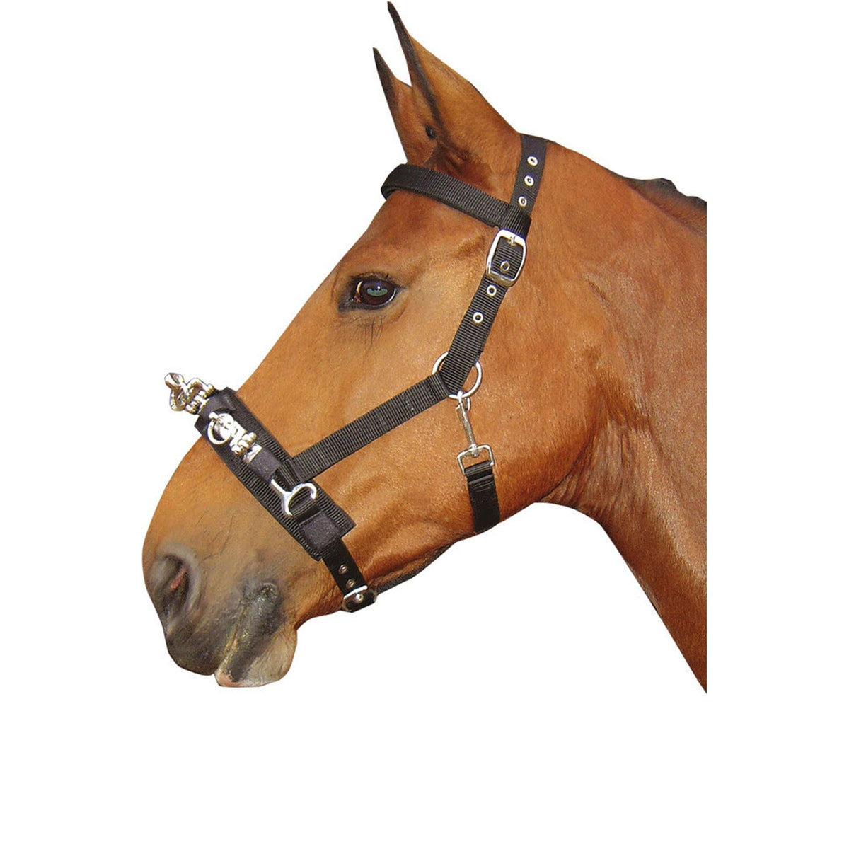 Harry's Horse Cabezón Negro