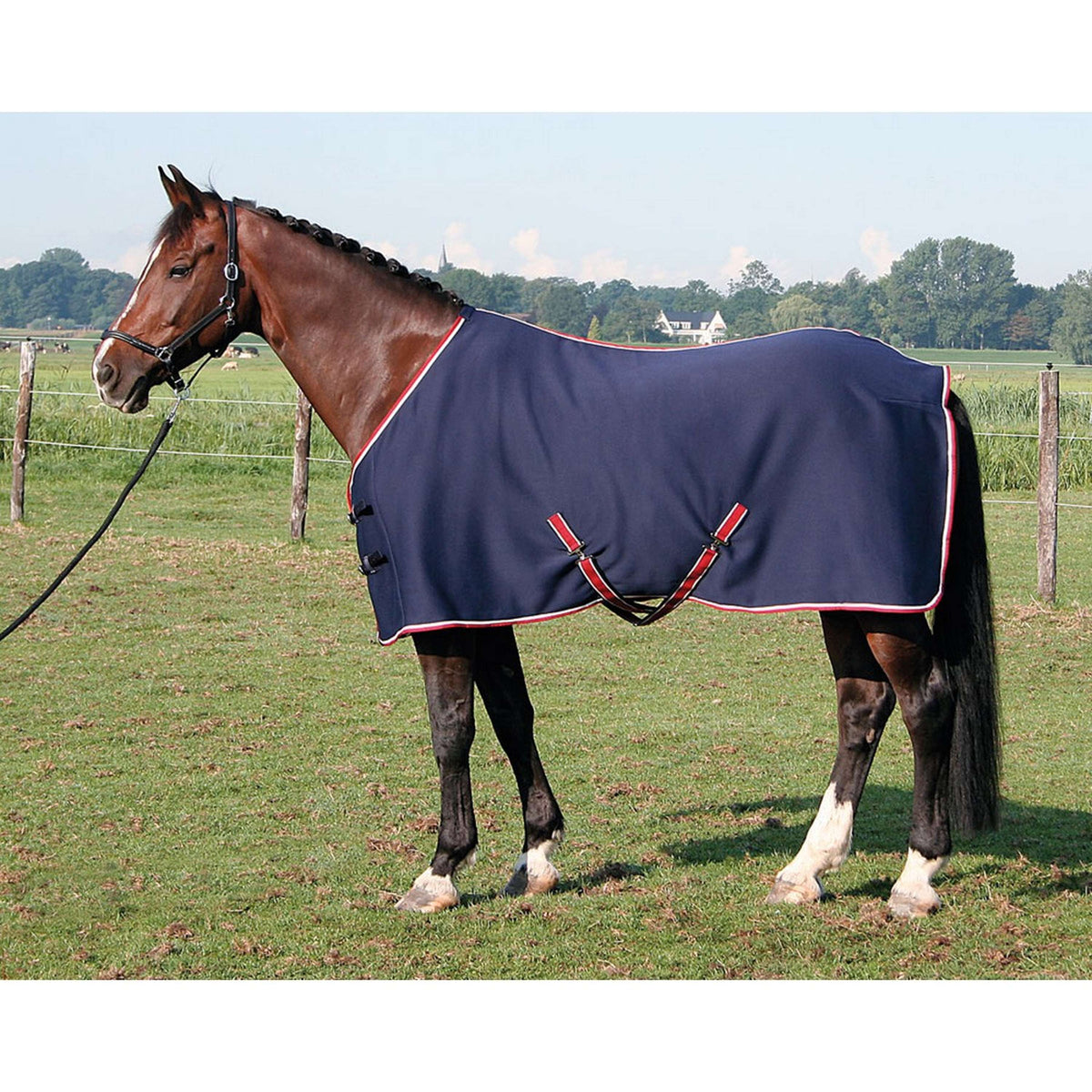 Harry's Horse Alfombra Jersey Cooler Navy